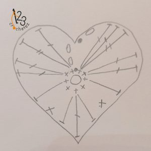 diagramme coeur